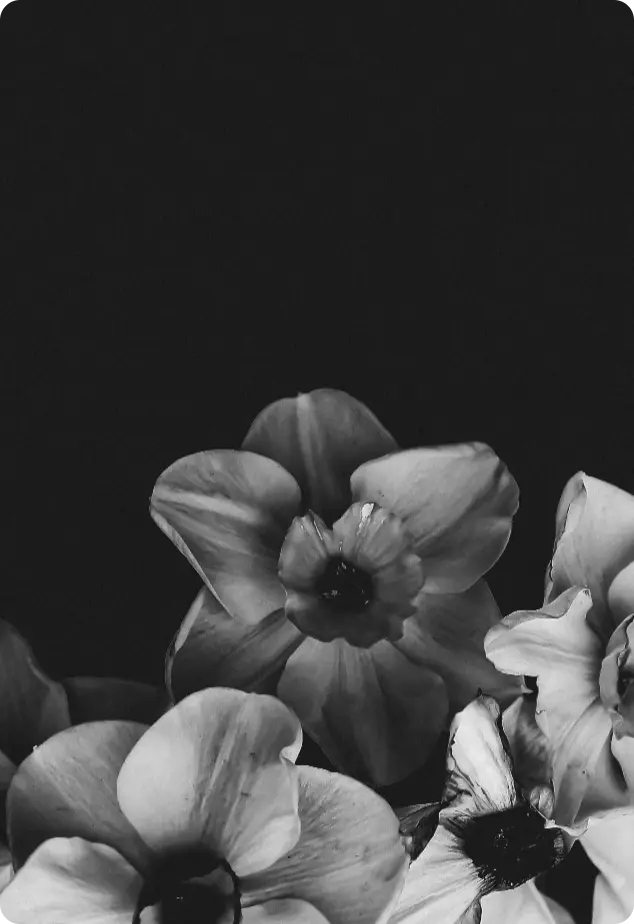 IMG: Service item after